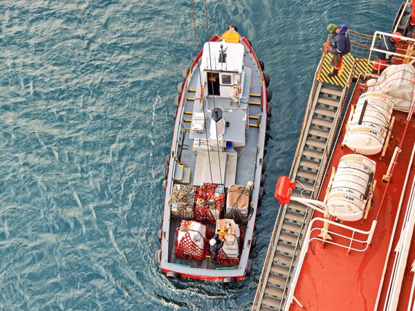 deliver-to-vessel Husbandry